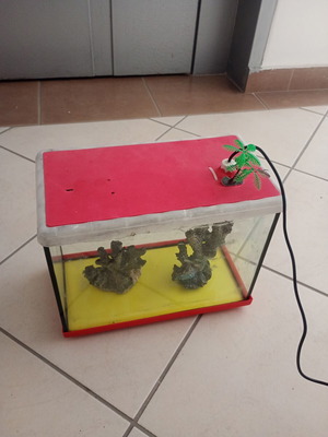 Glass aquarium with decorative corals and lighting, used