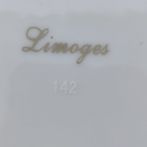 Limoge pasta set France porcelain new