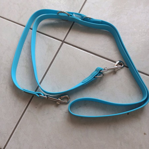 Dog leash new