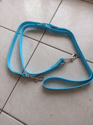 Dog leash new