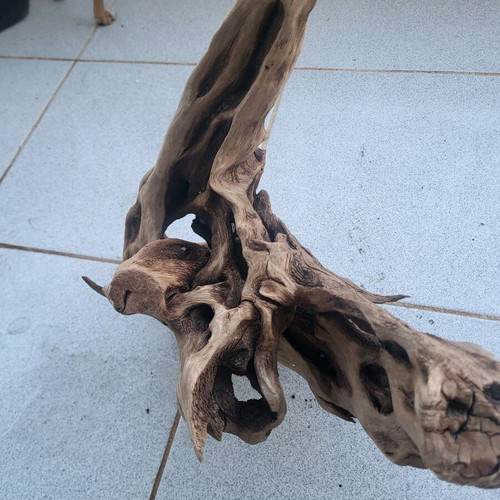 Large Amazon aquarium root used