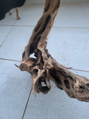 Large Amazon aquarium root used