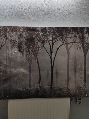 Canvas painting used 120x80