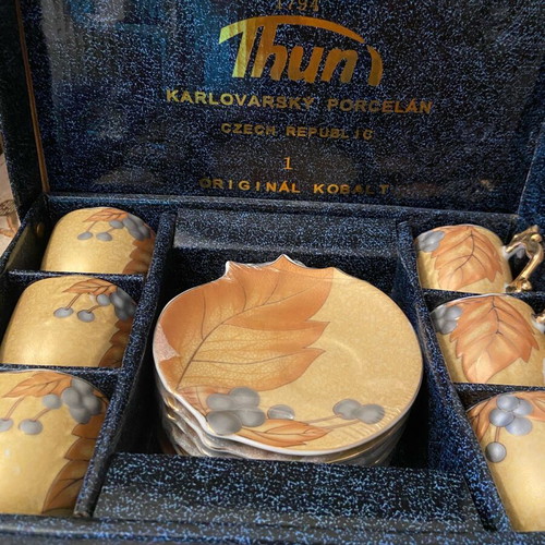 Porcelain coffee or tea set of 6 pieces new with case