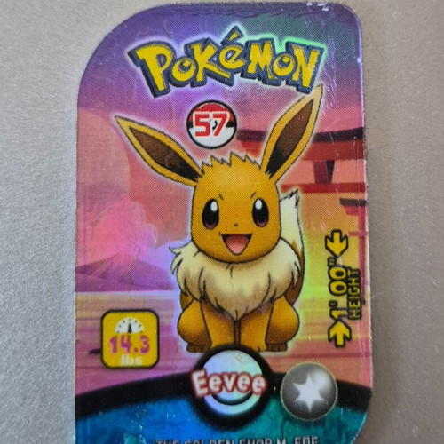 Pokemon tag