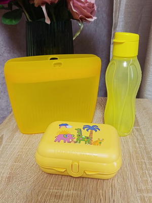 Tupperware set of 3 with silicone bag 500ml and bottle 300ml