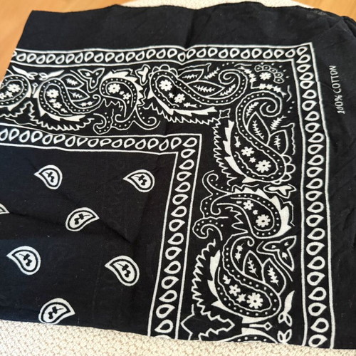 Scarf with gift hoop earrings like new