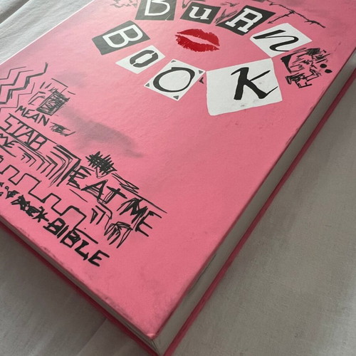 Burn Book Eyeshadow Palette brand new