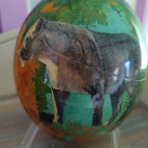 Ostrich Egg from South Africa like new with gold leaf and detailed colors