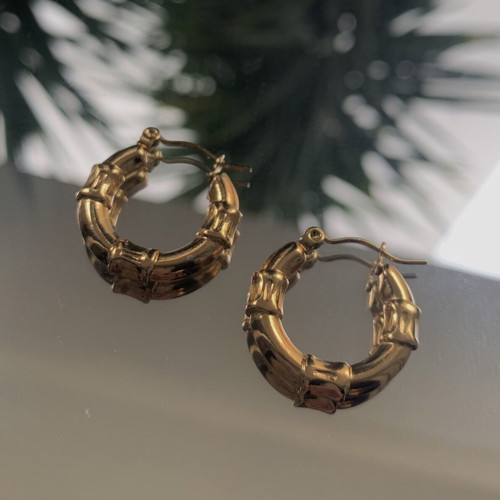 Stainless steel earrings new