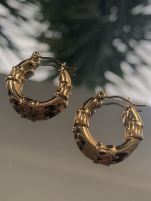 Stainless steel earrings new