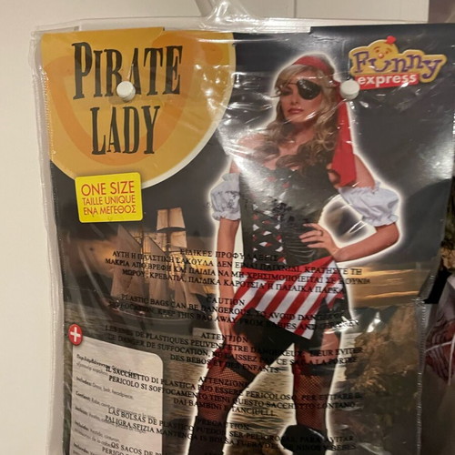 Carnival women's pirate costume like new one size