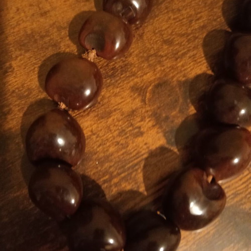MNG Long Kukui Nut Necklace Like New, Brown