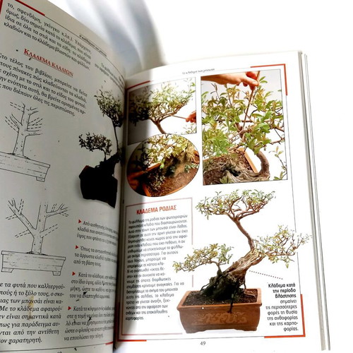 The Cultivation of Bonsai like new, techniques and care guide