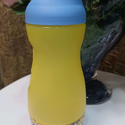 Minions Tupperware bottle and twin set new