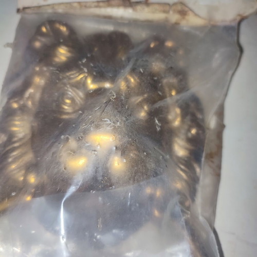 Brass Lion Door Knocker new old stock by BESLAG