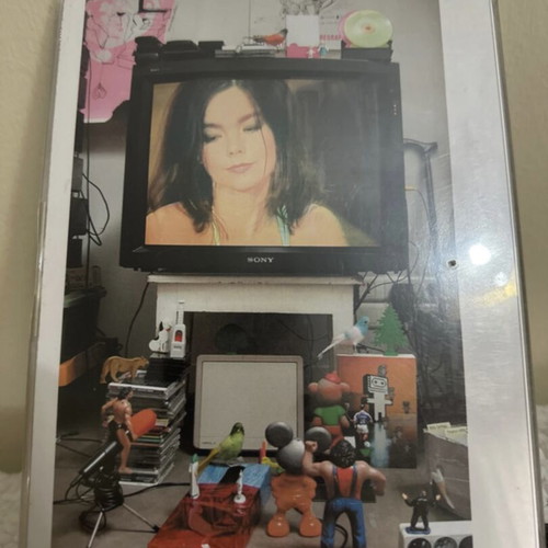 The Live DVD Series Björk DVD like new