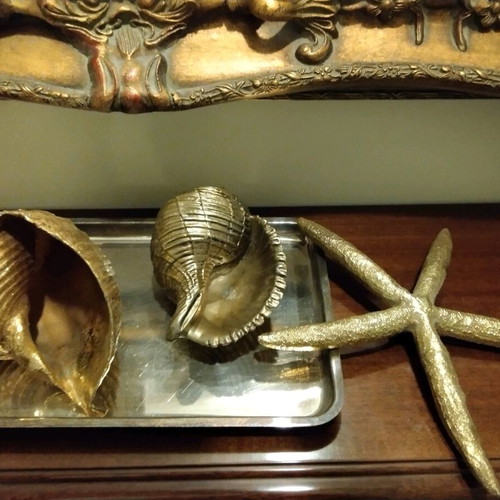 Large seashells and starfish composition like new