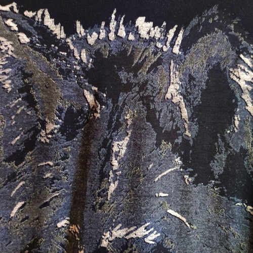 Gianni Rodini long-sleeve black blouse with wolf design used