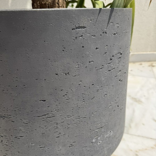 Gray concrete planter used