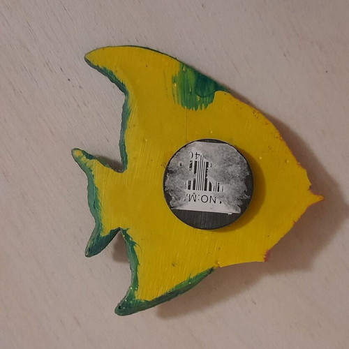 Fish magnet used, colorful with glitter