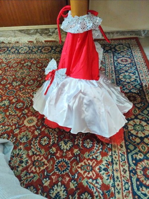 Carnival costume for girls like new, for 5 years old