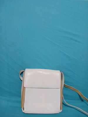 Prom Dress Bag like new