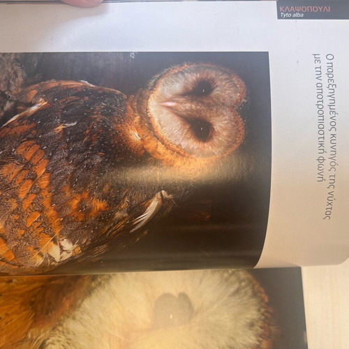 Nature Explore Feathered World book new with lens by Giorgos Avagianou