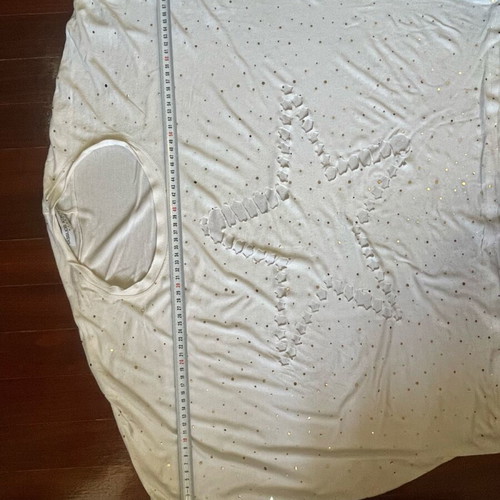 Vassilios Kostetsos white tshirt with gold details and star, like new, one size