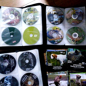 Dvd / Κυνήγι 185 και παραπάνω dvd