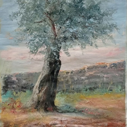 Olive Tree Oil Painting New, Palette Knife Technique 43x57 cm