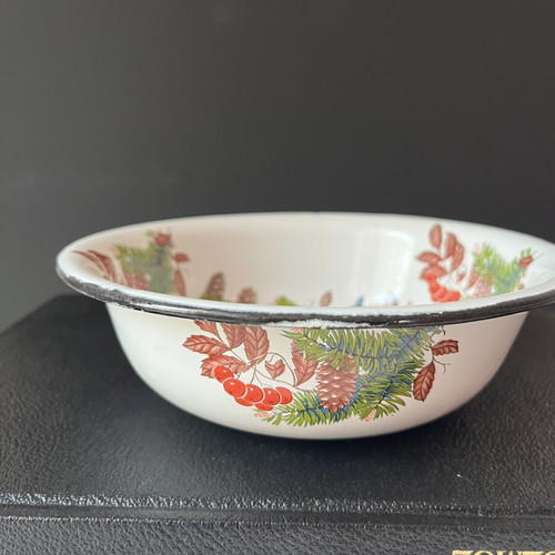 Vintage enamel bowl USSR with bullfinch design, 18cm, like new