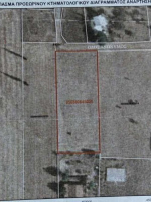 Agricultural land 2,500 m² in Pournari, Mandra municipality