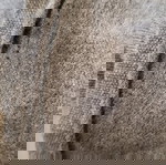  Дамска тениска Burberry