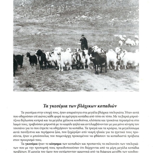 Λεύκωμα Η κιβωτός των Βλάχων του Σελίου μεταχειρισμένο, ελληνικά