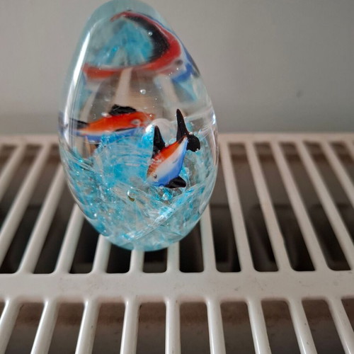 Art Glass Paperweight Clear Glass Egg with Ocean Scene and Fish used