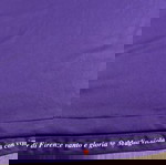  Εμφάνιση Fiorentina σε άριστη κατάσταση 2013/14