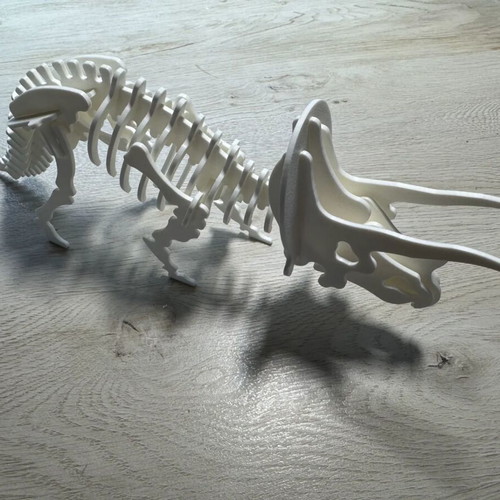 Triceratops Dinosaur Skeleton Puzzle new