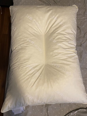 Narkissos I Coco Mat pillow new, natural latex support