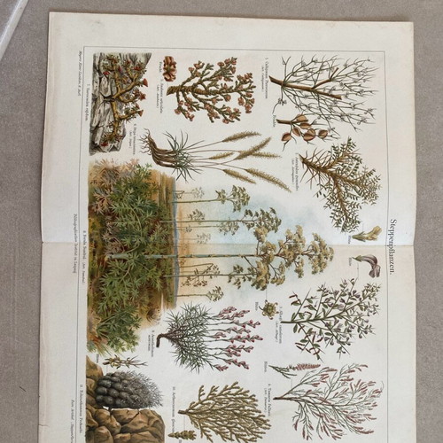 Collectible engraving used