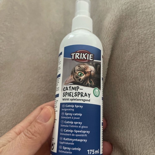 Catnip spray for kittens new