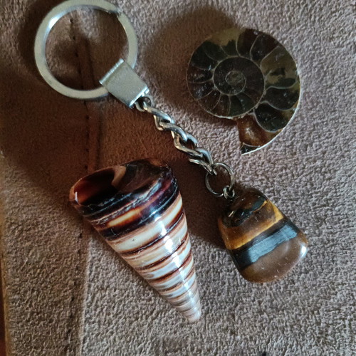 Keychain rock and fossils new with steel chain