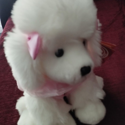Anee Park Poodle Plush Dog White with Pink Dress like new