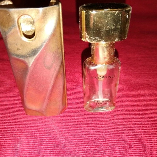 Estee Lauder collectible bronze perfume case used