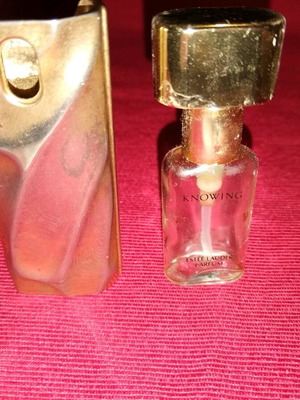 Колекционерски бронзов калъф за парфюм Estee Lauder употребяван