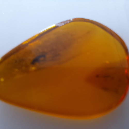 Baltic amber drop with insects suitable for pendant 0.93 grams