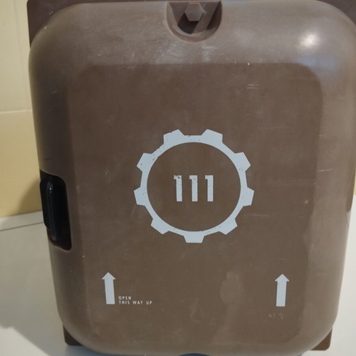 Fallout 4 Pip-Boy Edition capsule case
