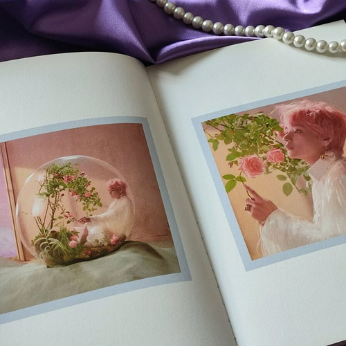 Love Yourself Answer (ver. E) BTS Complete Album Set like new