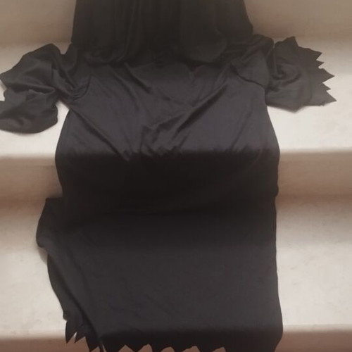 Carnival costume like new