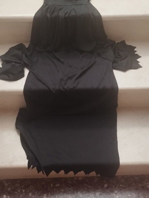 Carnival costume like new